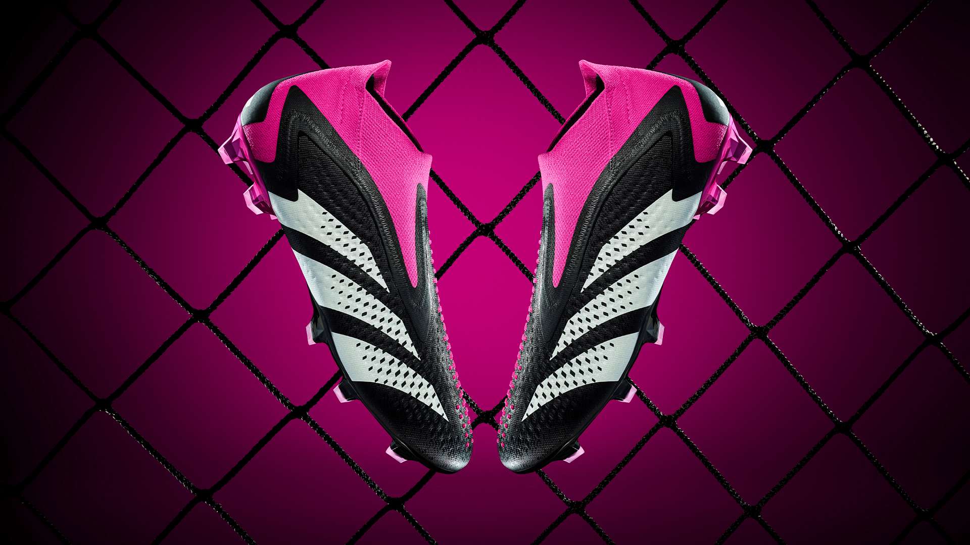 展示了强大 展示了强大